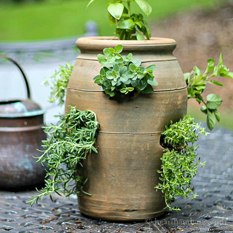 strawberry pot with plants container garden small space