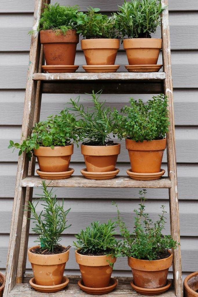 stacked wooden crates with herb plants container garden small space