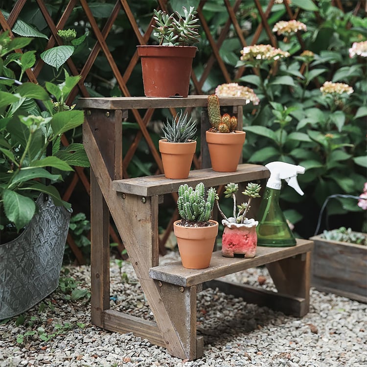 wooden ladder with succulent pots container garden small space