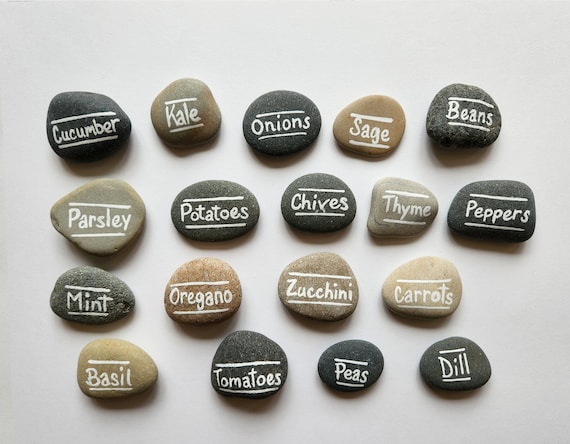 herb label painted rocks garden
