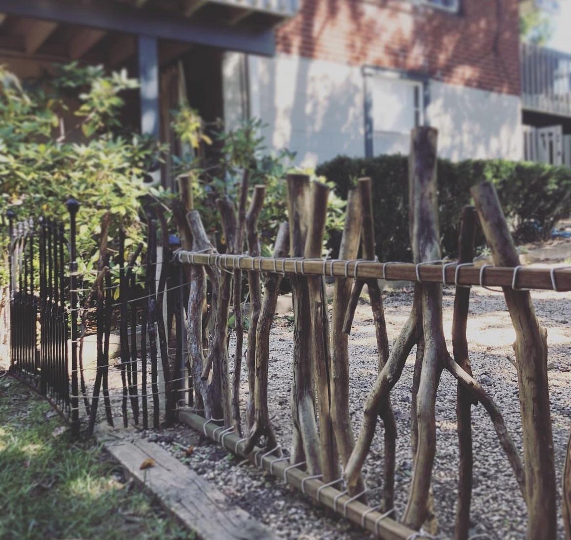 twig branch garden border