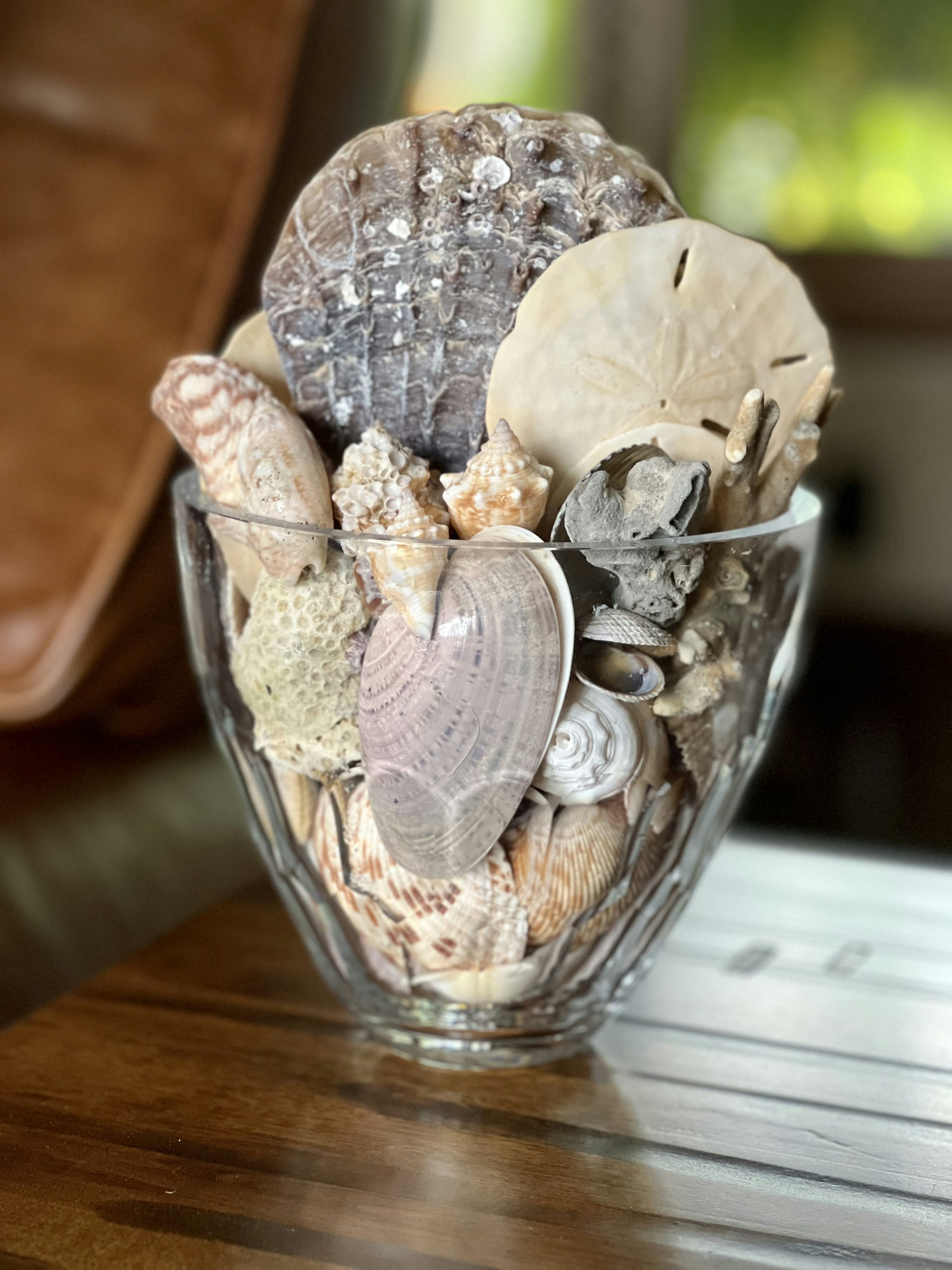 seashell filled glass vase