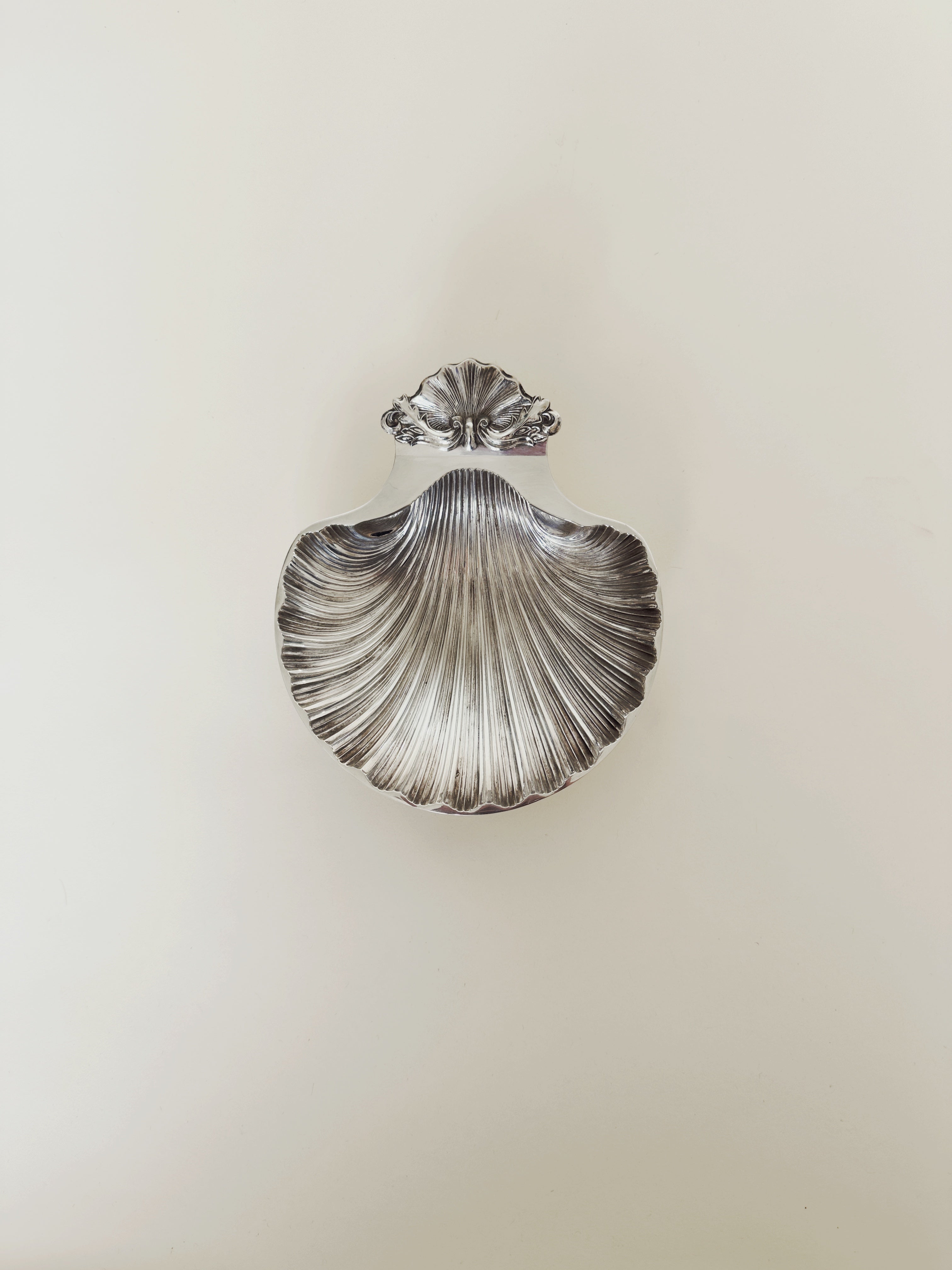 seashell decorated tray