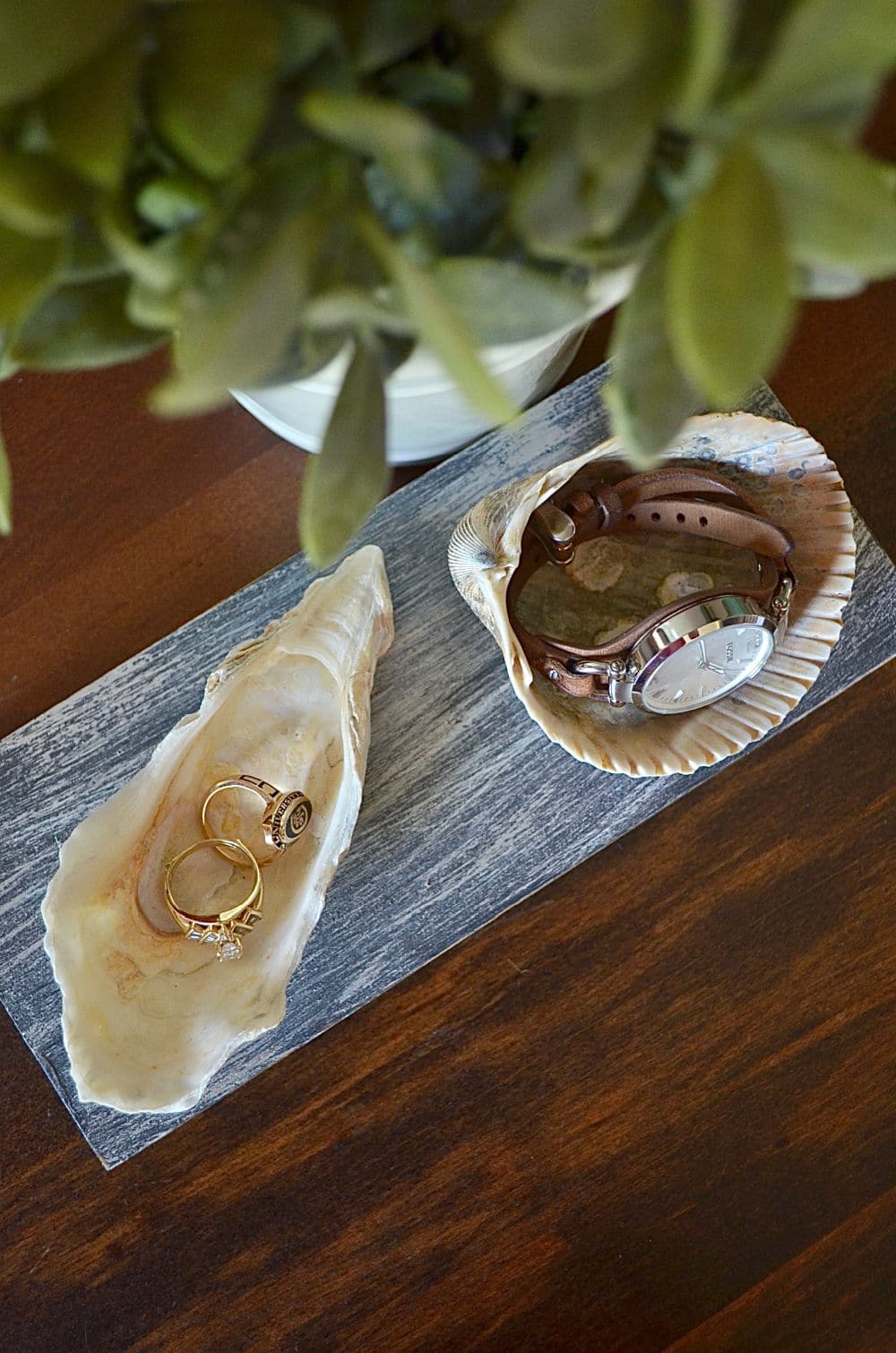 seashell jewelry dish