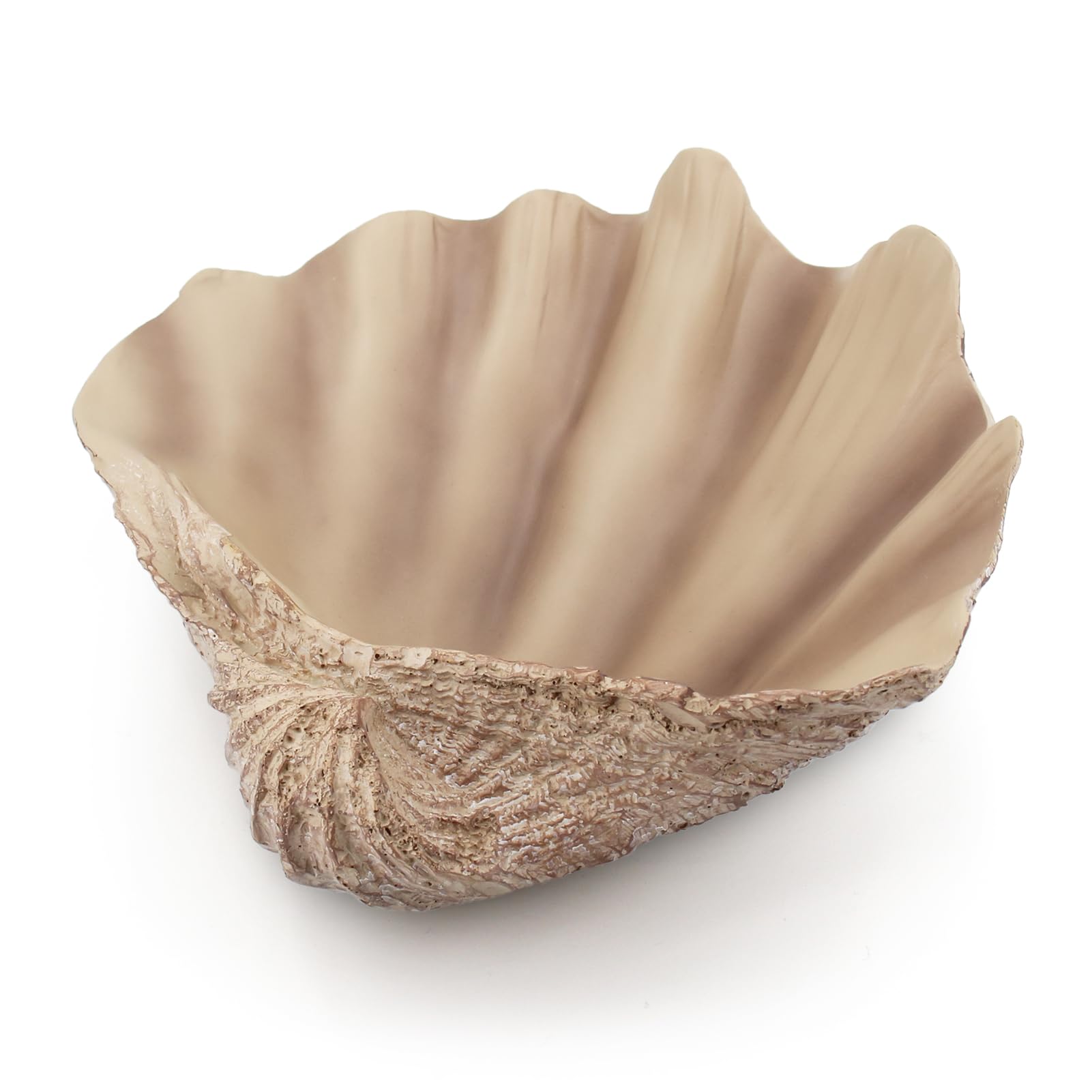 seashell decorative bowl