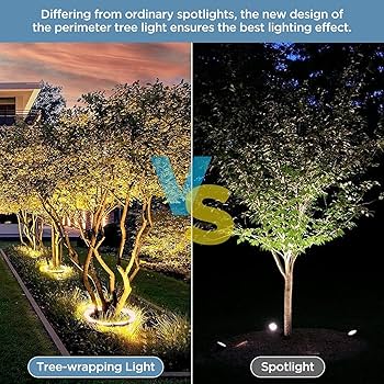 landscape spotlight uplighting tree