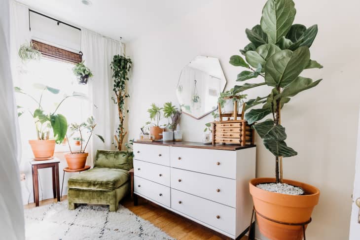 terracotta plant pot bedroom dresser