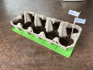 egg carton coasters