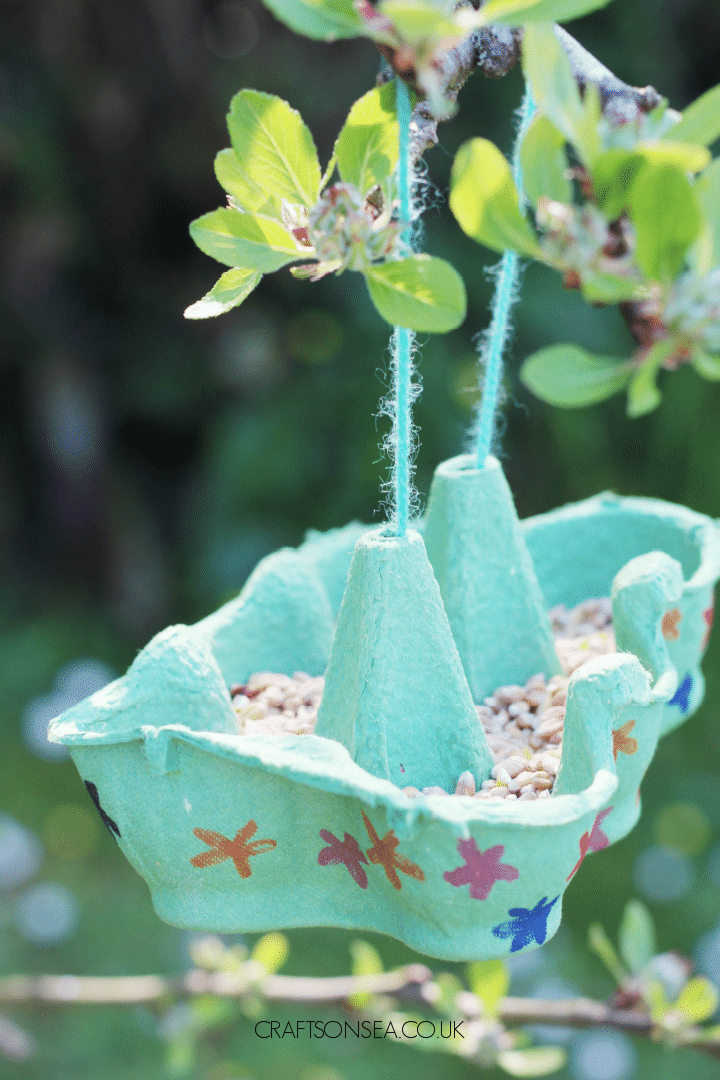 egg carton bird feeder