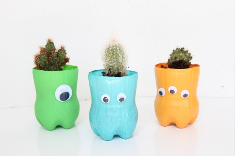 succulent plants in plastic bottle planters