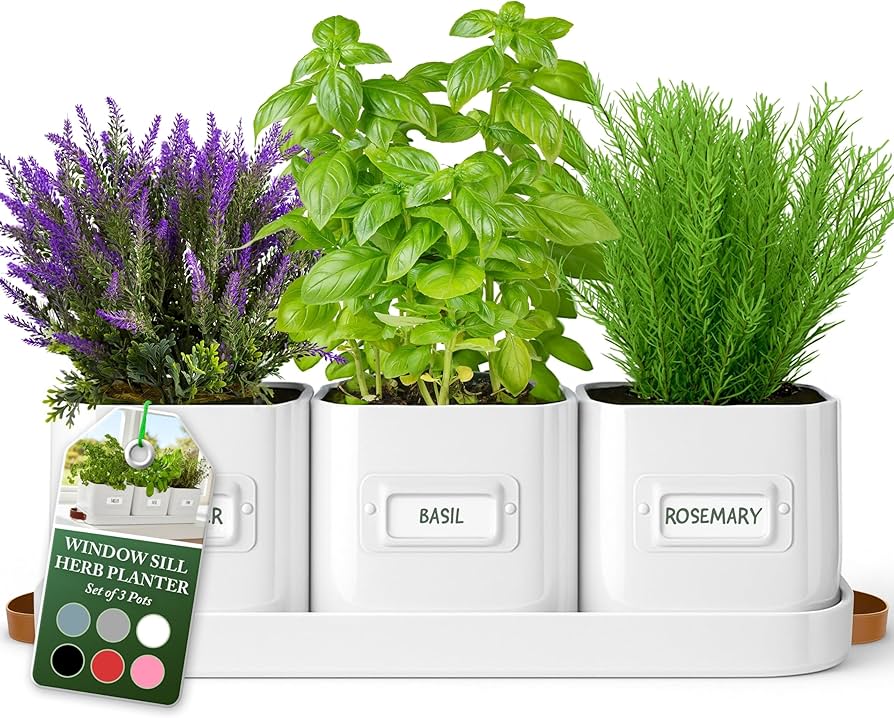 herb plants in plastic bottle planters on windowsill