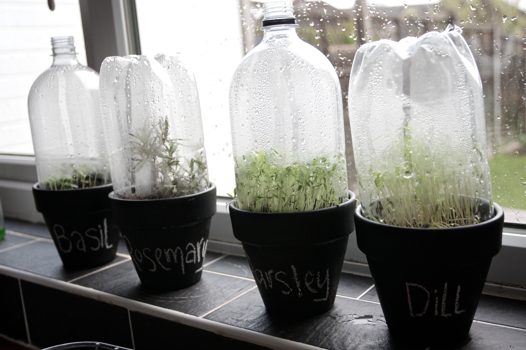 mini greenhouse made from plastic bottles