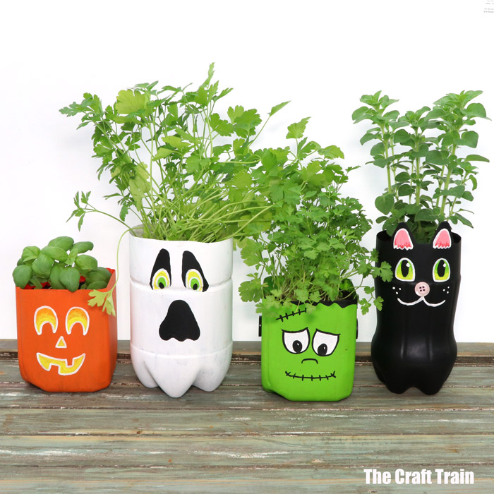 themed plastic bottle planter arrangement