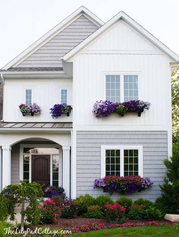 flowering window box on house exterior