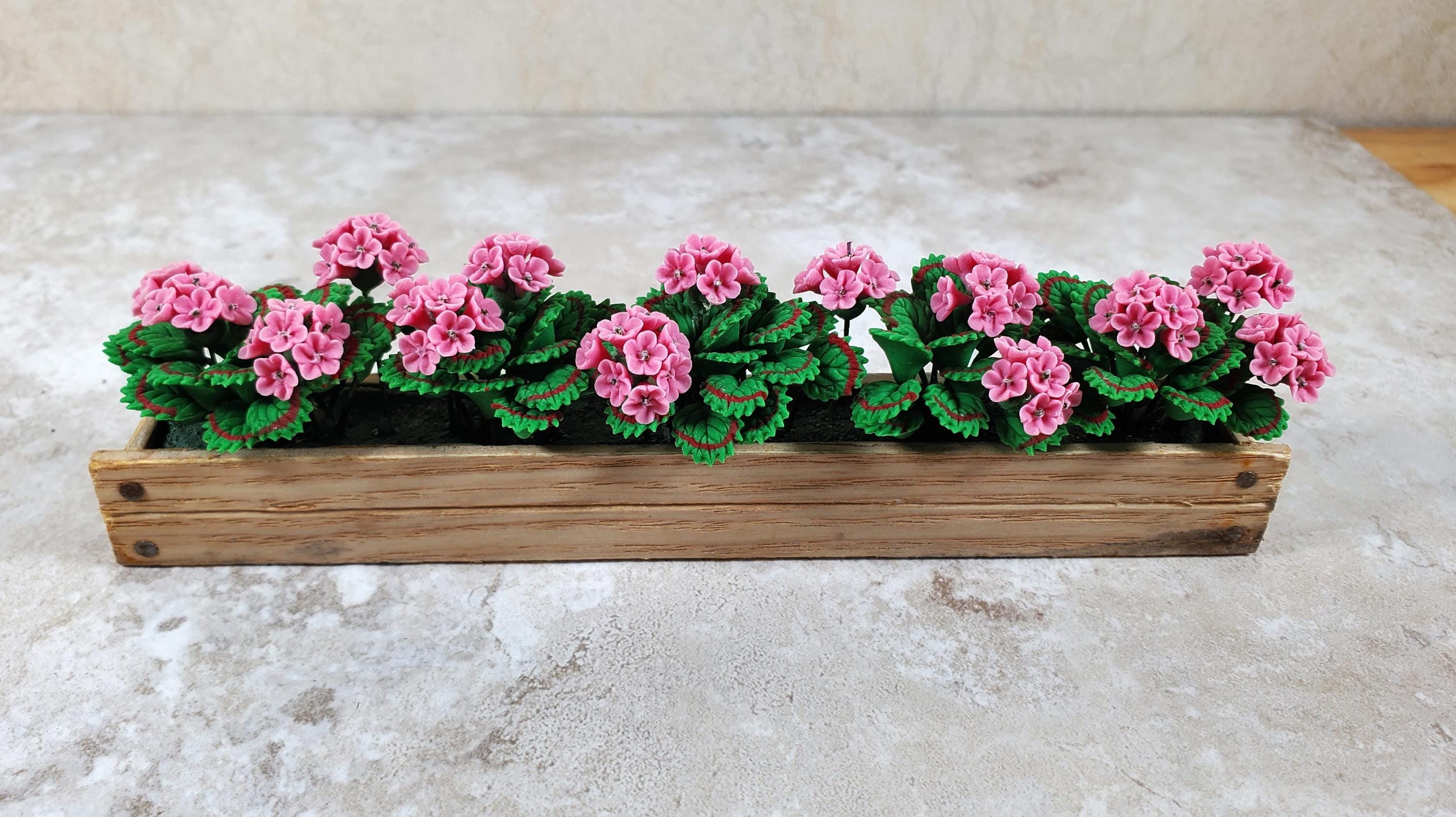 wooden window box with geraniums