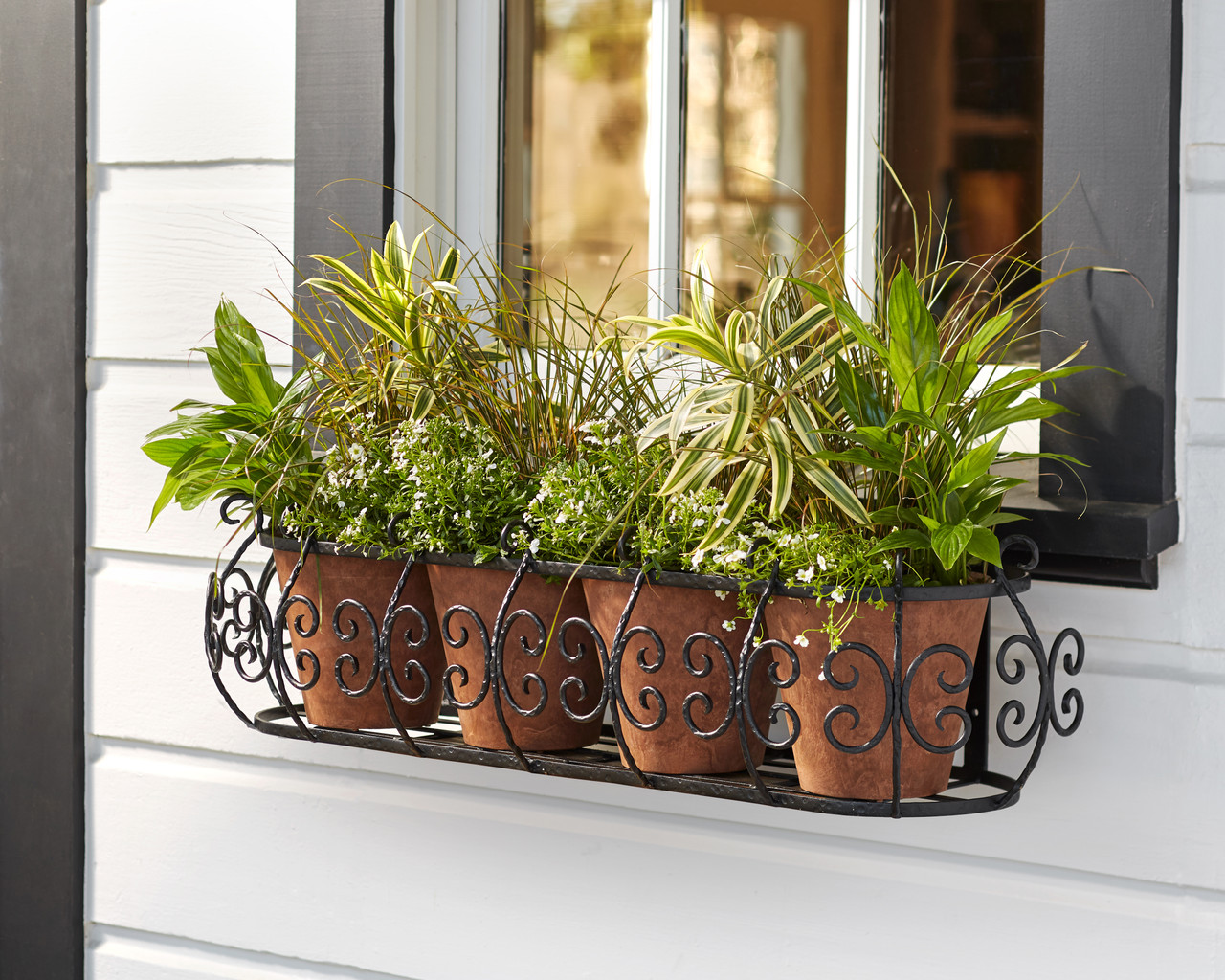 metal window box with herbs