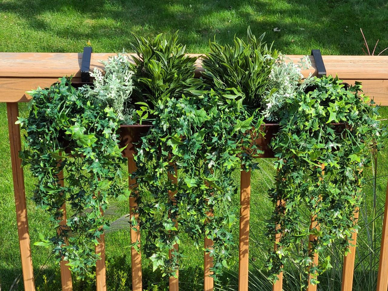 window box with boxwood and ivy