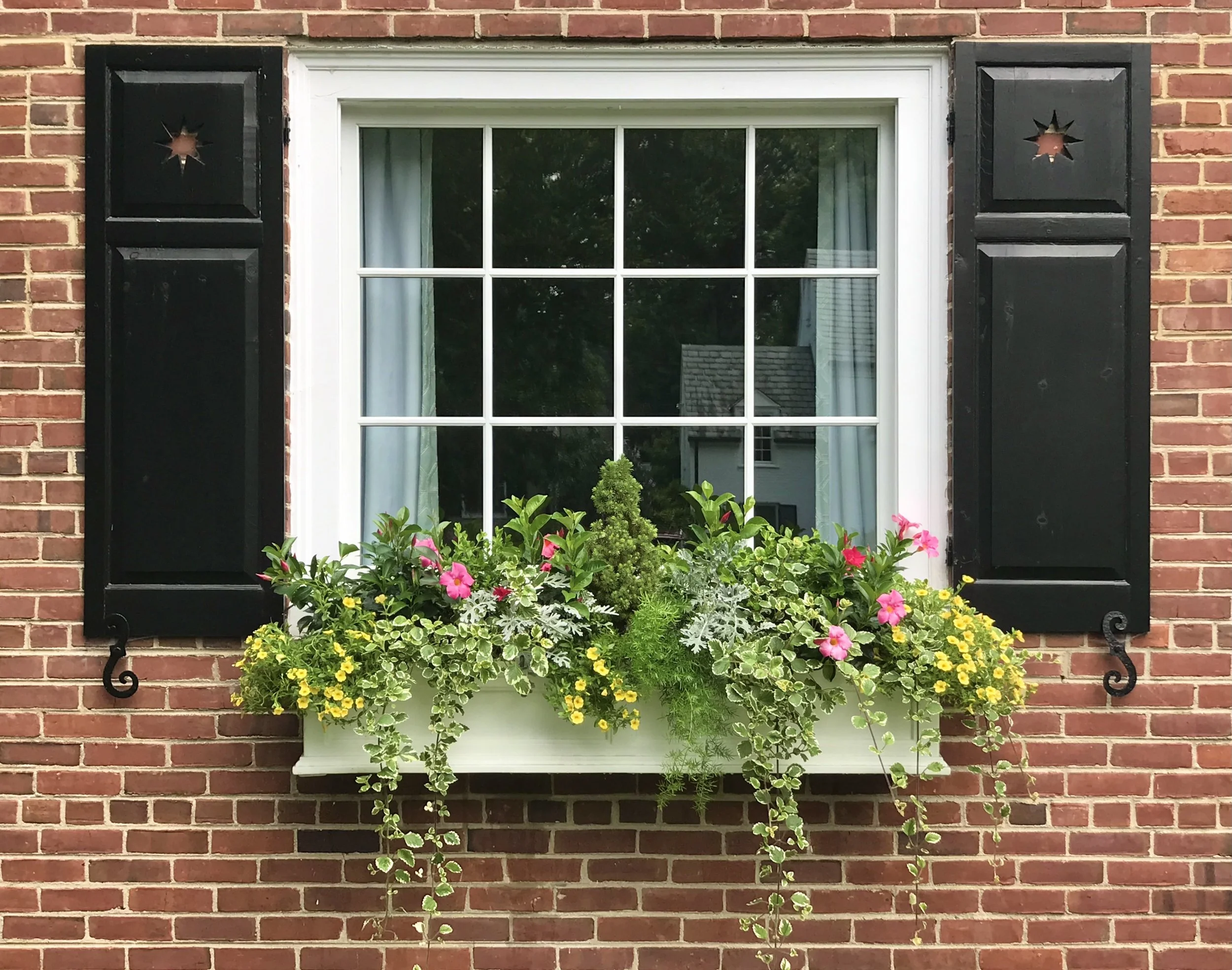 painted window box with annual flowers