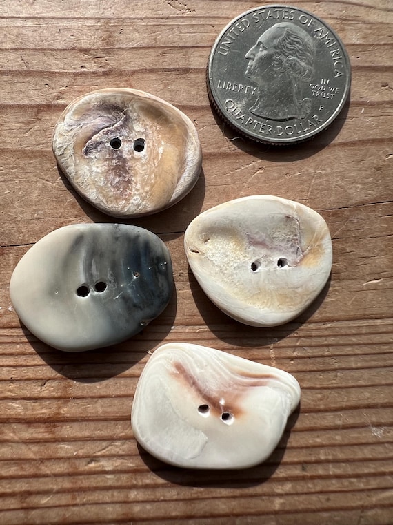 shell keychain with drilled beach finds