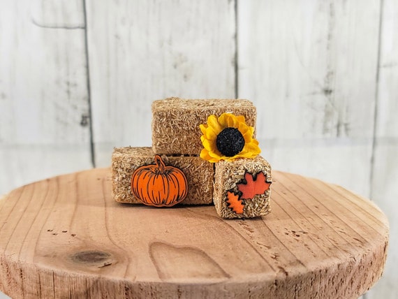 mini hay bale fall decor