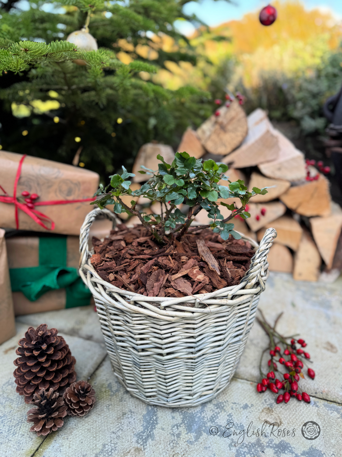 pinecone enhanced basket