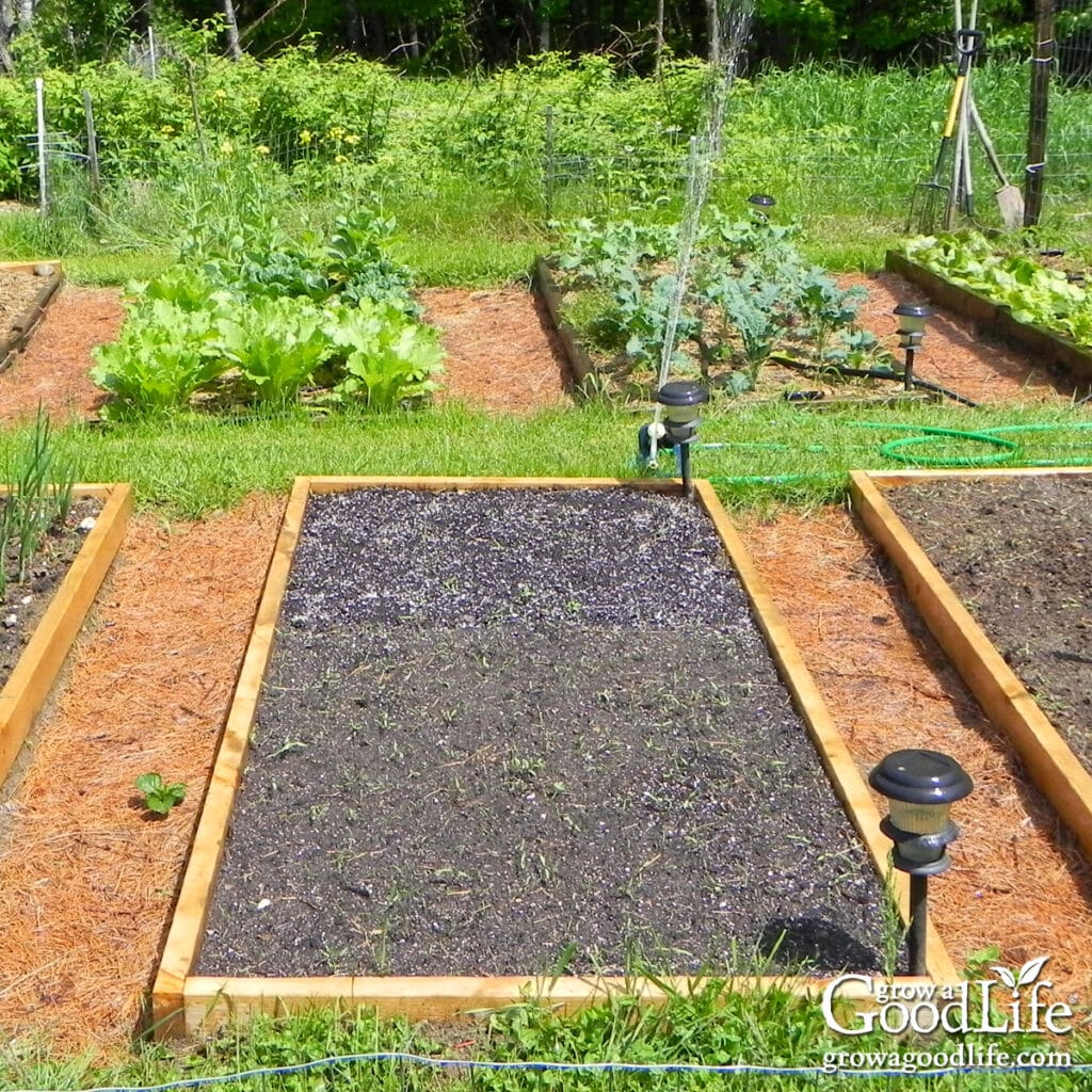 garden notebook with layout sketch and seed packets