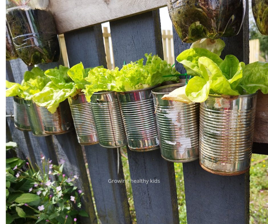 tin can planter with mums
