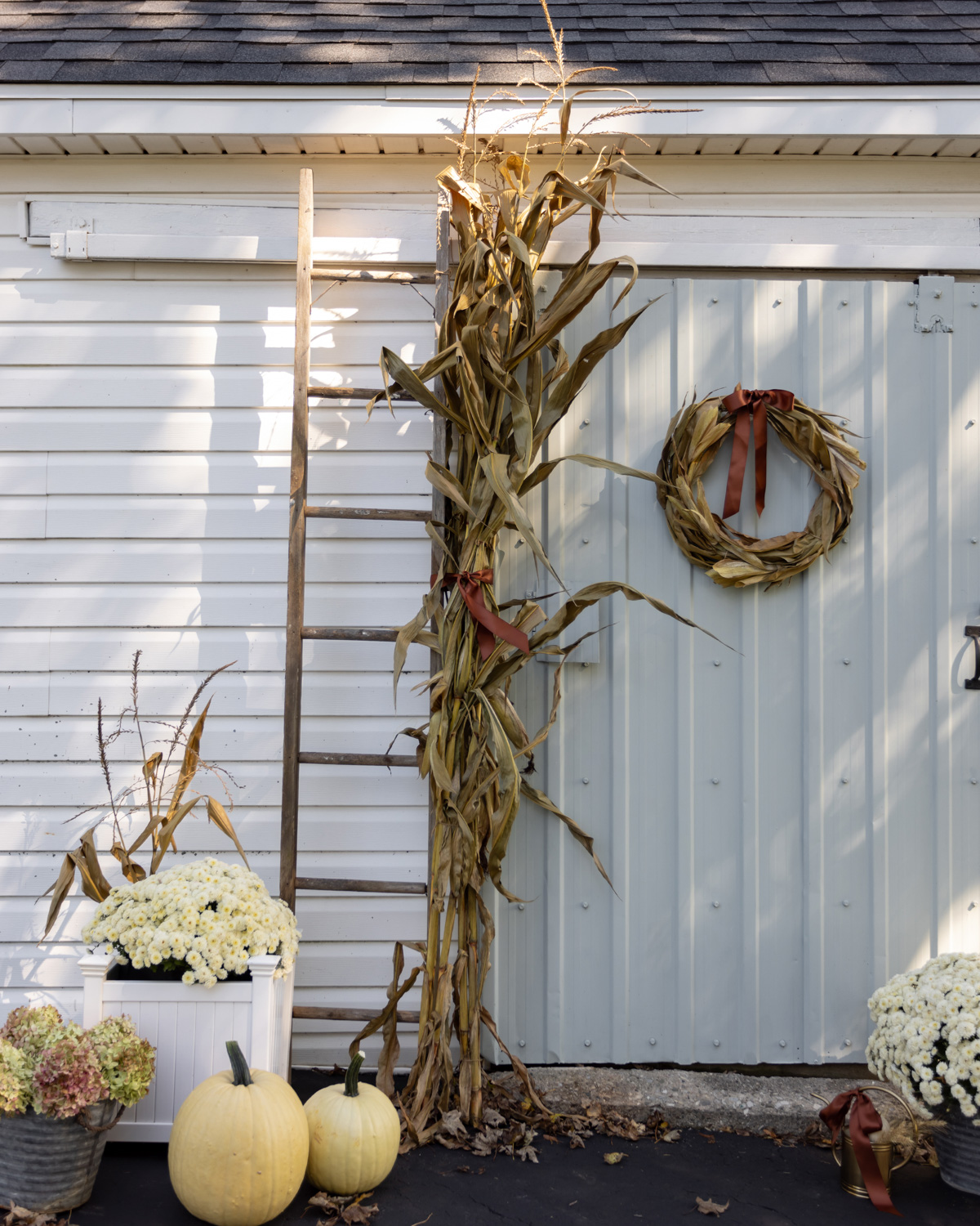 corn stalks tied in garden corner