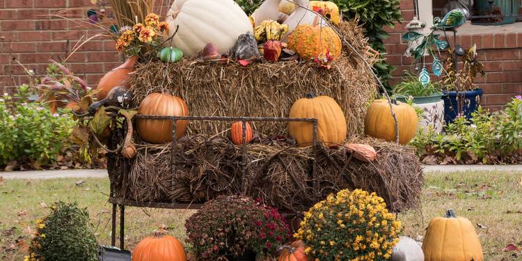 hay bales with fall decor in garden