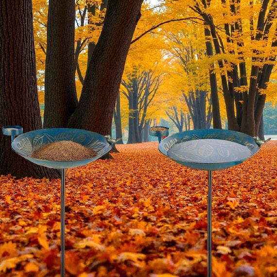 bird bath with fall foliage garden