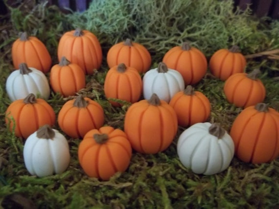 fall fairy garden with miniature pumpkins