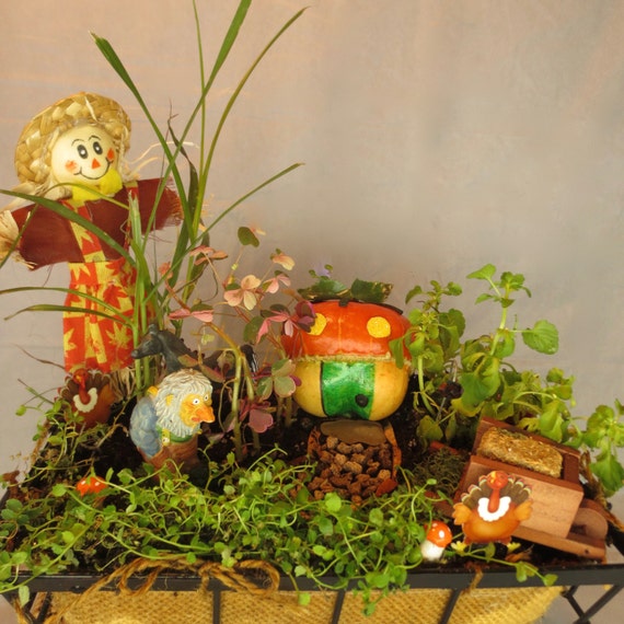 mini gourd planters in fairy garden
