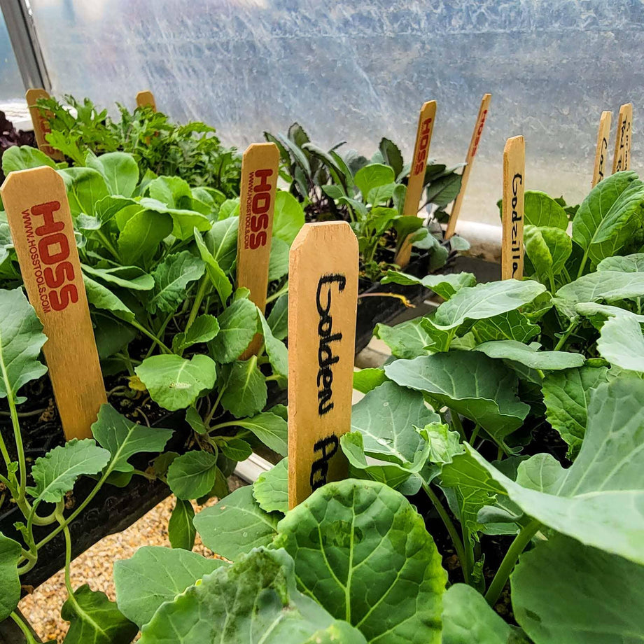 wooden garden markers in vegetable bed