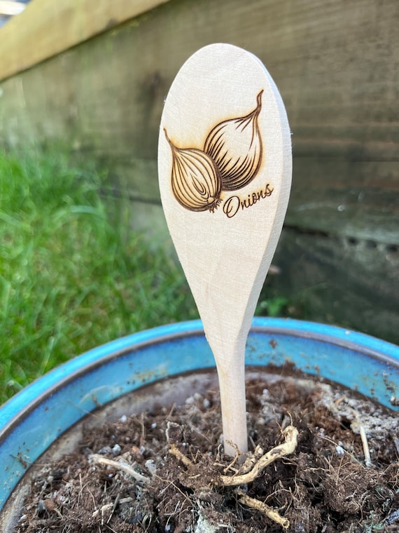 wooden spoons stuck in garden soil
