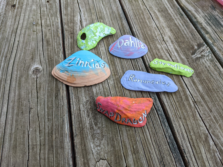 seashells used as garden markers
