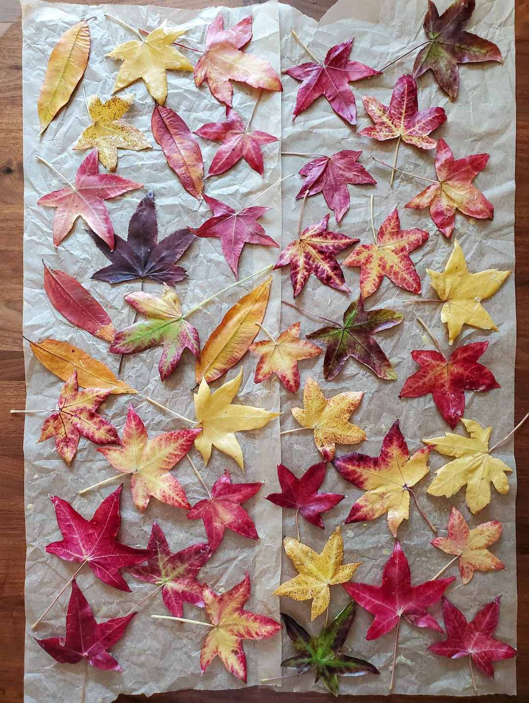 pressed leaf fall garland