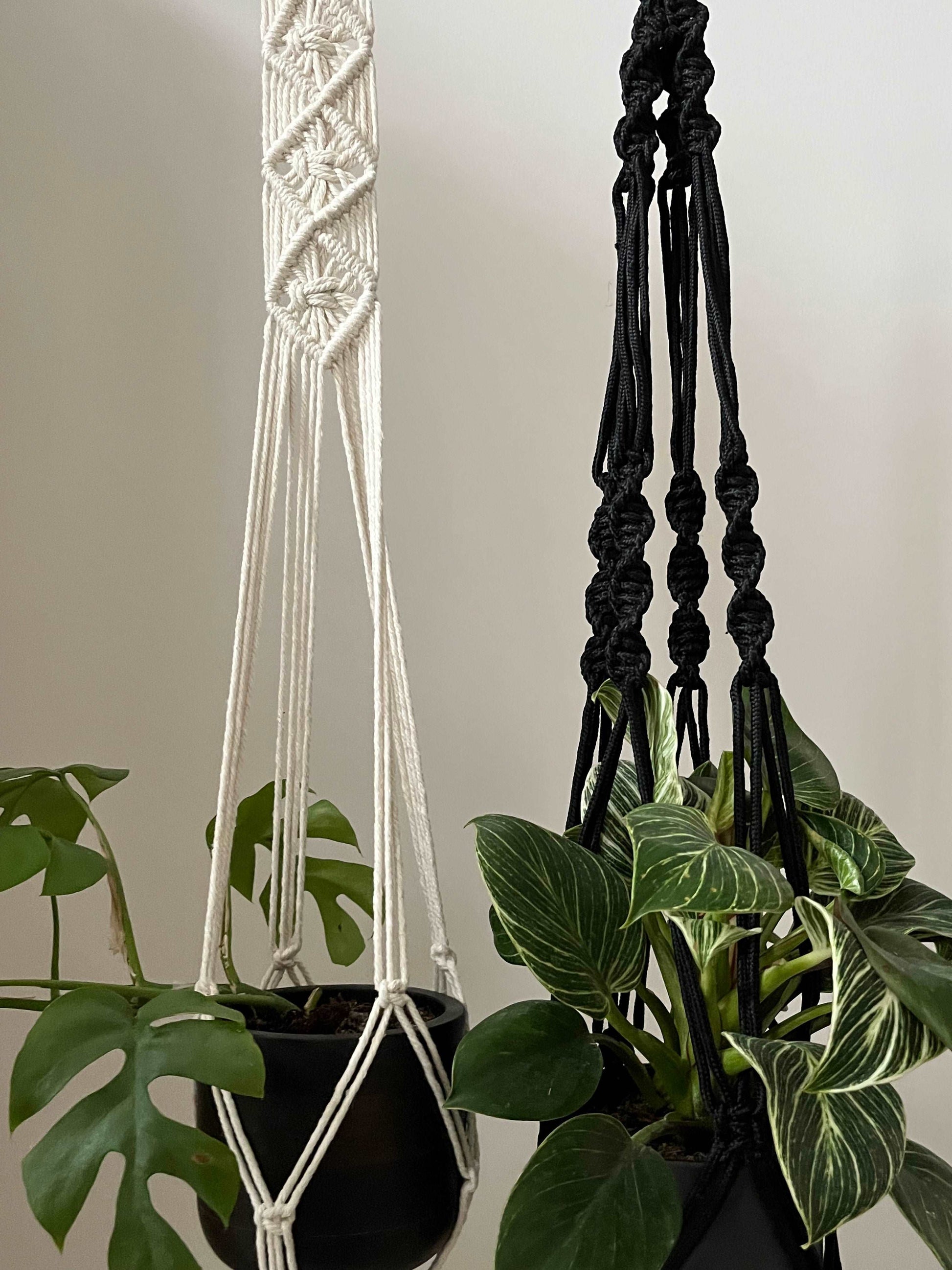 wooden ring macrame plant hanger