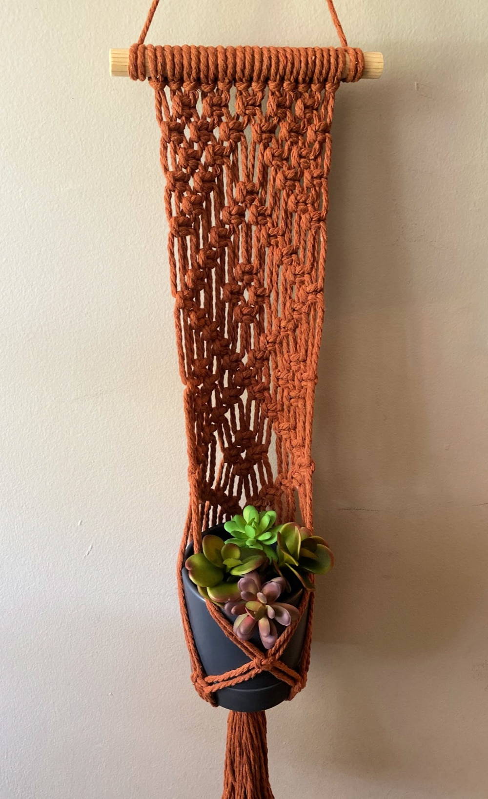 wall mounted macrame plant hanger