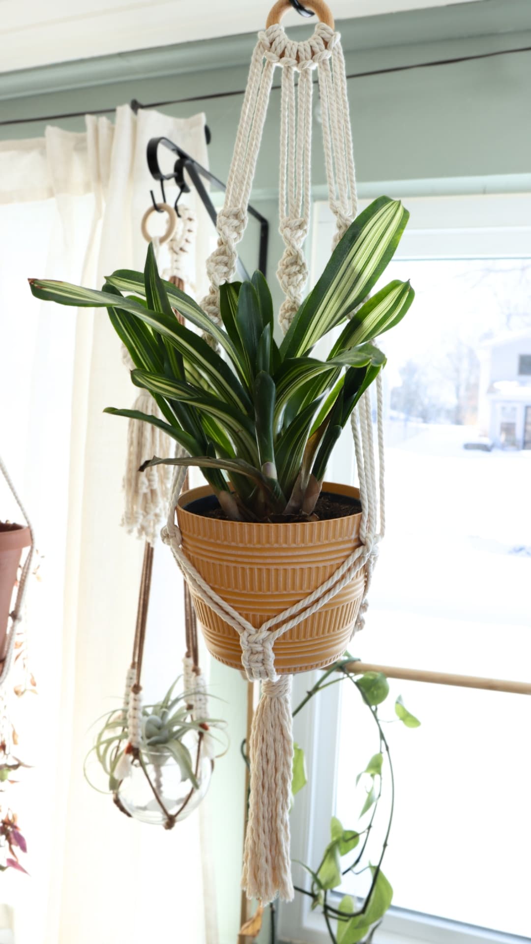 spiral pattern macrame plant hanger