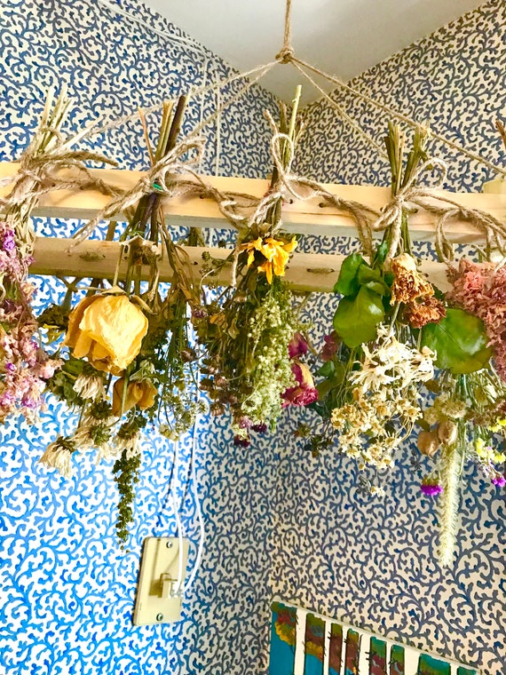 dried herb bundles hanging in kitchen window