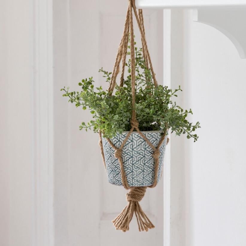rope plant hanger with potted plant
