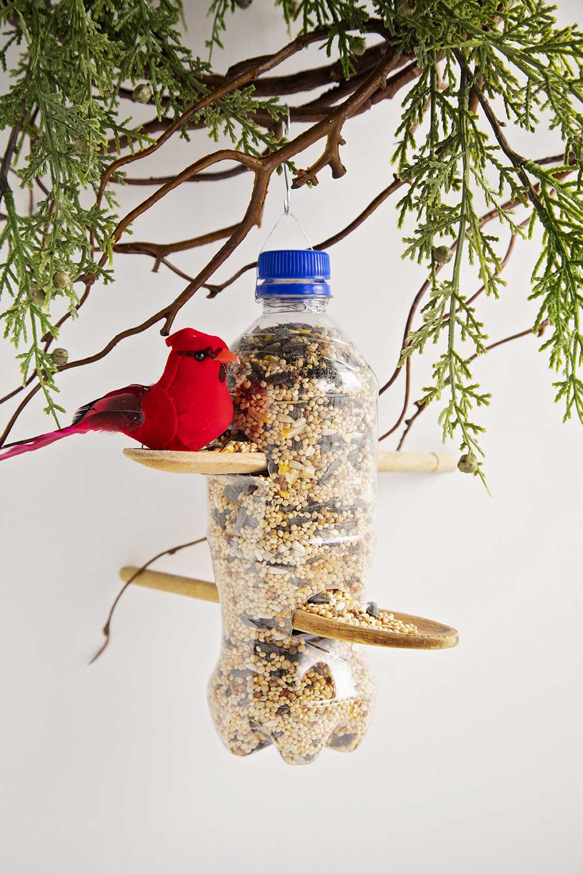 plastic bottle bird feeder hanging