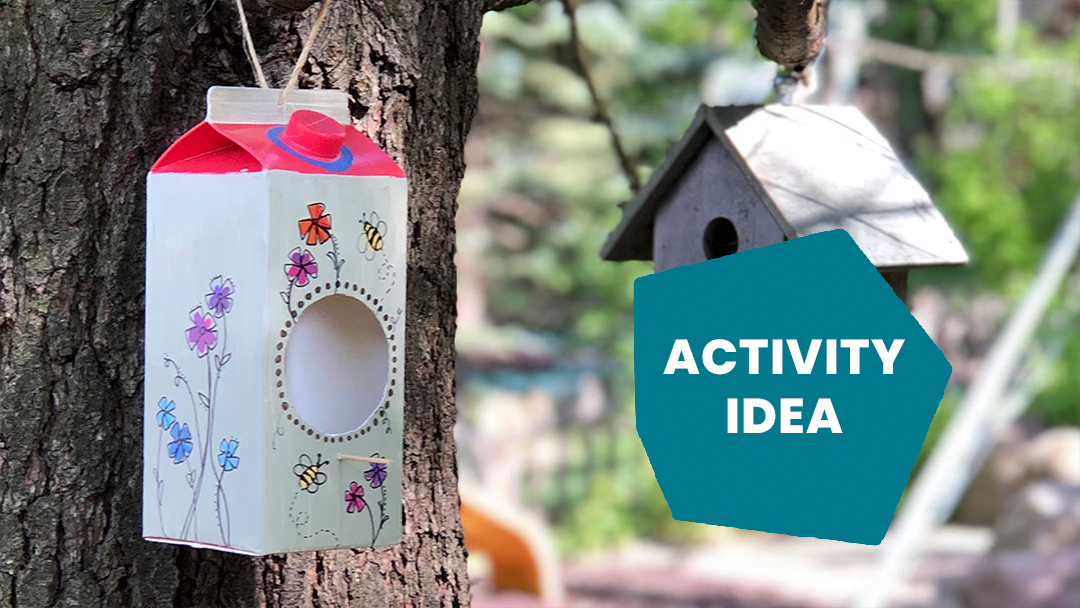 milk carton bird feeder house