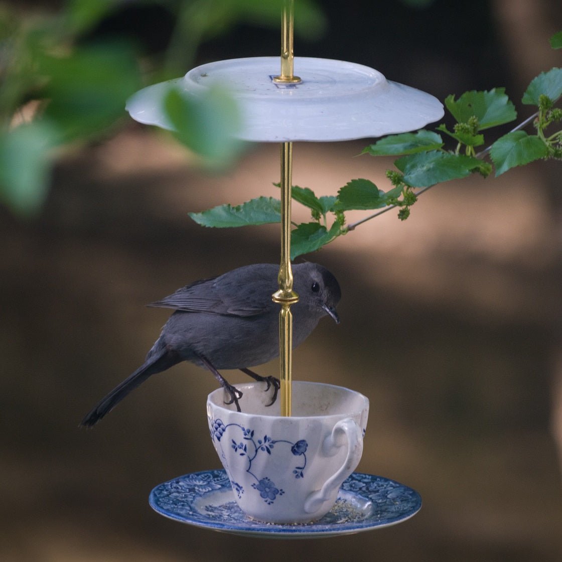 ceramic teacup bird feeder