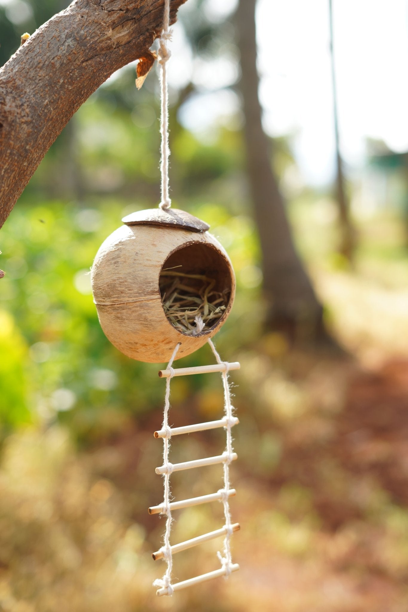 natural twig bird feeder ladder