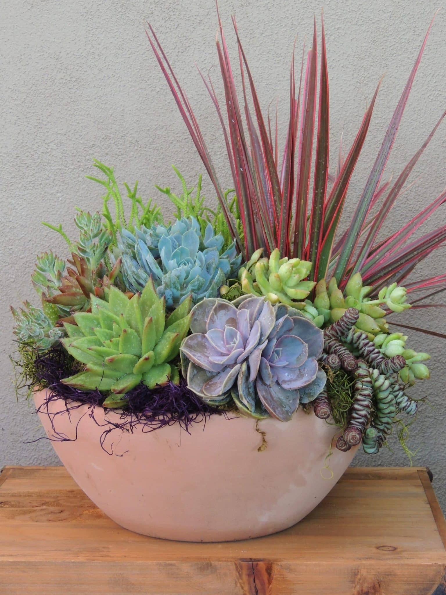 terracotta bowl succulent arrangement