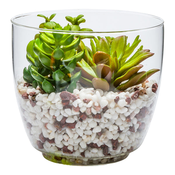 glass terrarium succulent arrangement