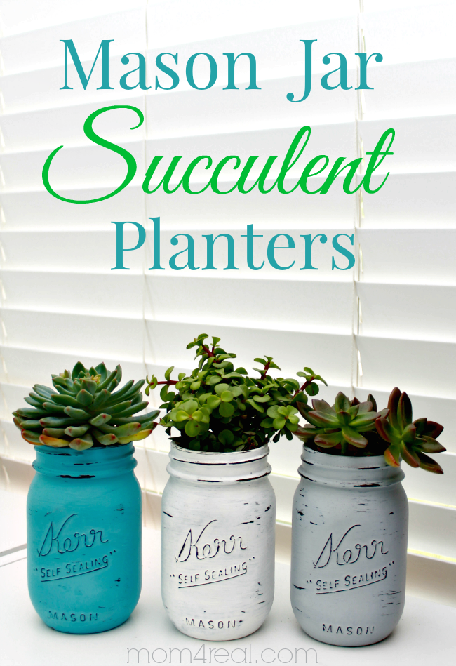 mason jar succulent planter