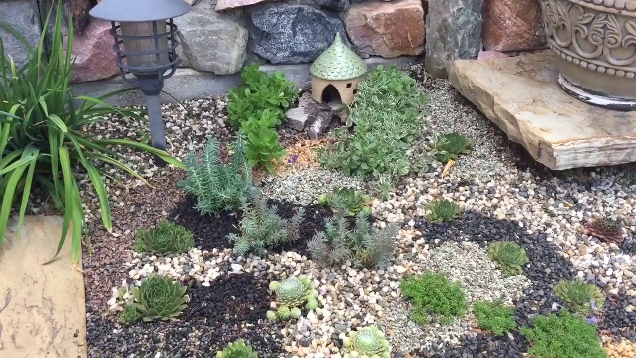 outdoor rockery succulent bed