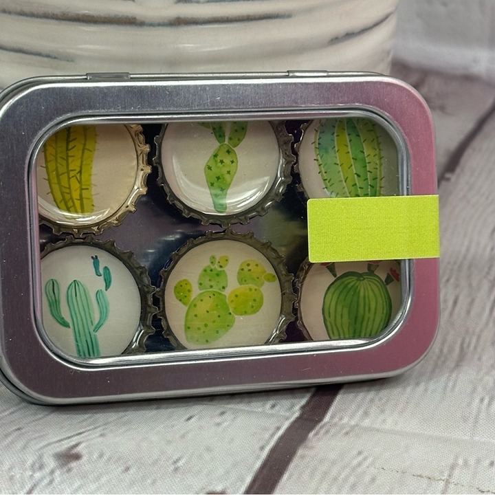 tin container succulent display